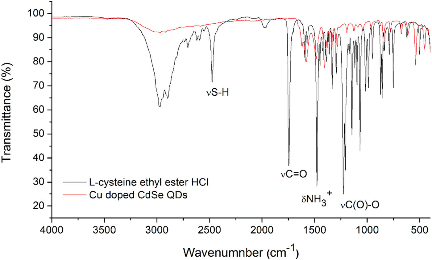 Figure 5 
                  FTIR spectra of l-cysteine ethyl ester and l-cysteine-capped QDs.
               