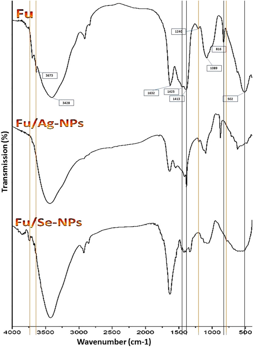 Figure 2 
                     FTIR spectra of extracted Fu and polymer-decorated NPs of silver (Fu/Ag-NPs) and selenium (Fu/Se-NPs). The main influencing bands in Ag-NPs and Se-NPs synthesis are indicated by black and orange lines, respectively.
                  