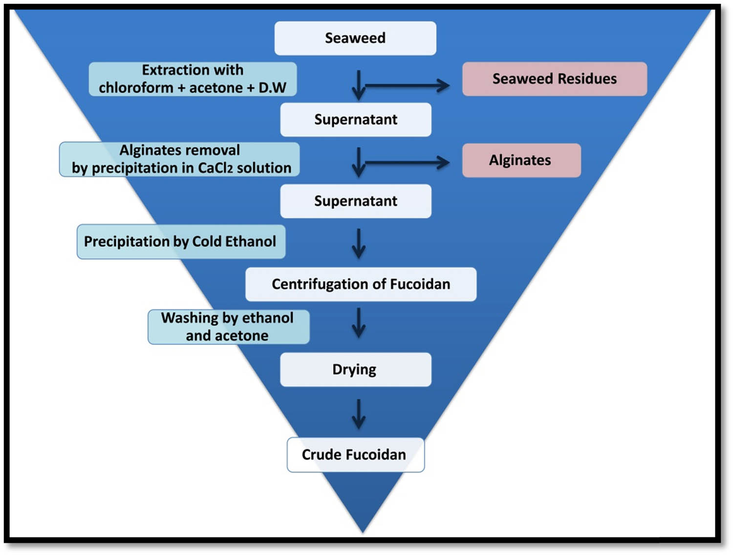 Figure A1 
                  Schematic flowchart illustrated the step-by-step protocol used for Fu extraction from C. barbata.
               