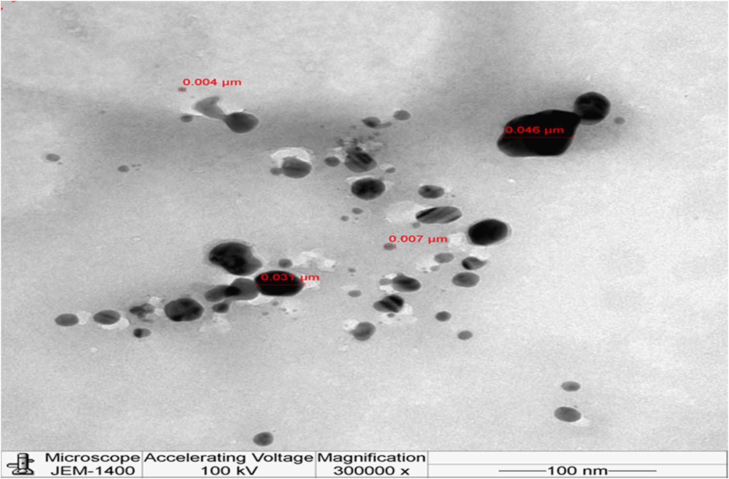 Figure 6 
                  TEM microphotographs of the NPs synthesized using M.p leaf extracts.
               