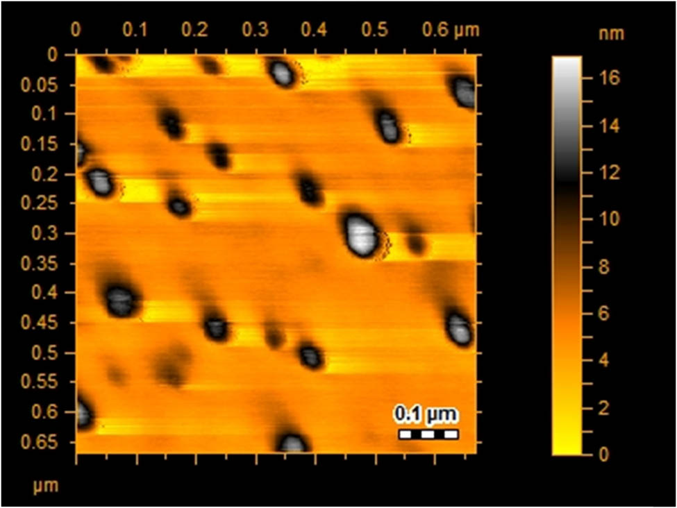 Figure 6 
                     AFM image of AuNPs of P. granatum.
                  