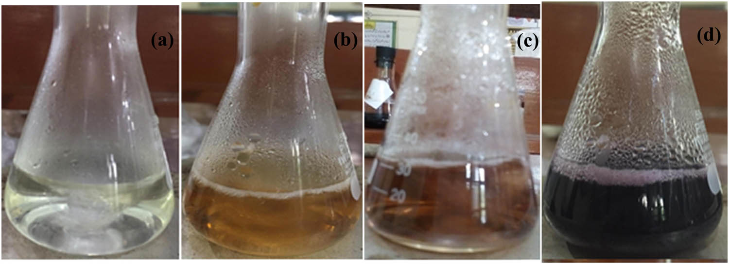Figure 1 
                  Color change of AuNPs of BP formation: (a) gold salt solution, (b) initial mixing of gold salt solution and extract, (c) after 30 min, and (d) after 4 h stirring.
               