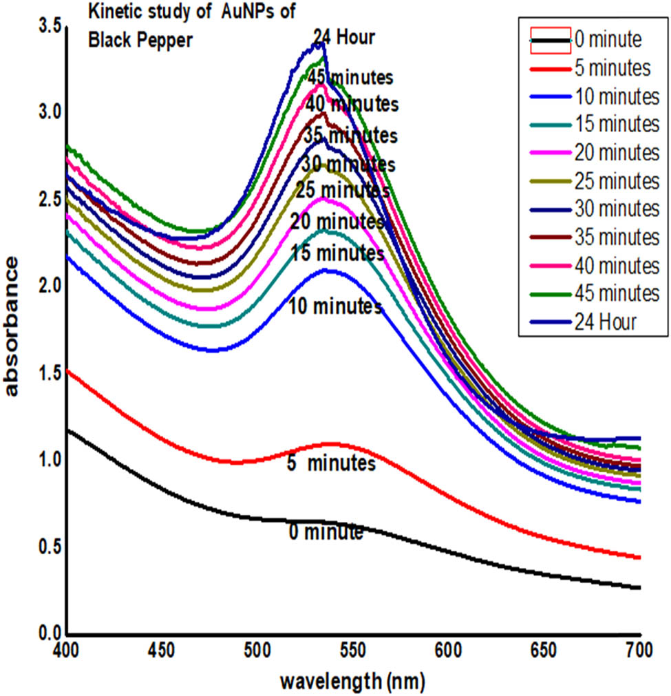 Figure 3 
                  Kinetic study of AuNPs of BP.
               