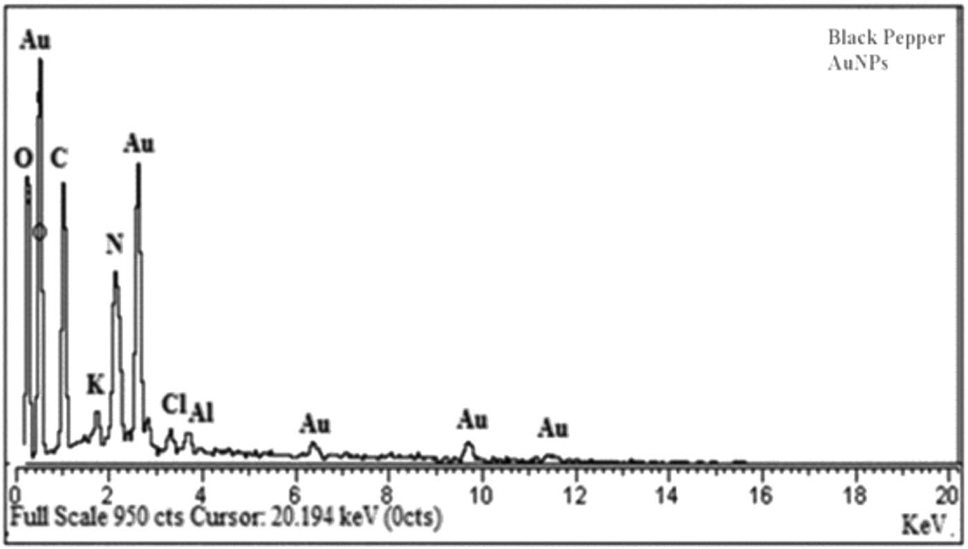 Figure 12 
                  EDX spectrum of BP-AuNPs.
               