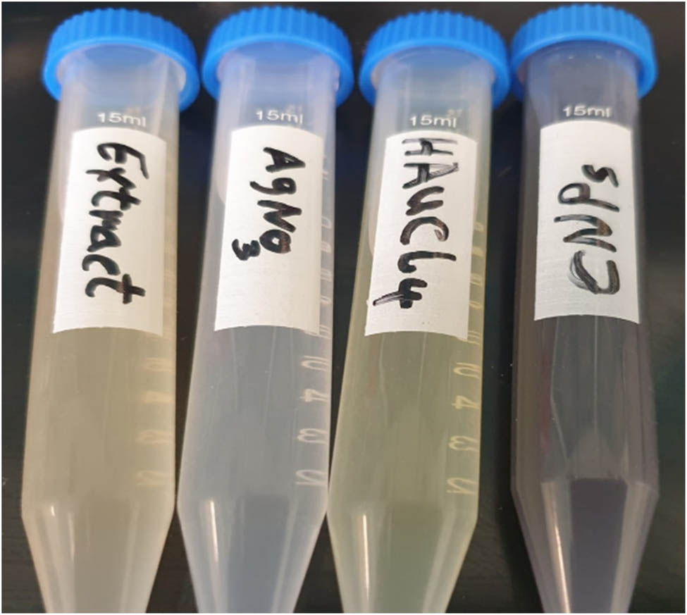 Figure 1
Change of color in silver and gold nanoparticles.