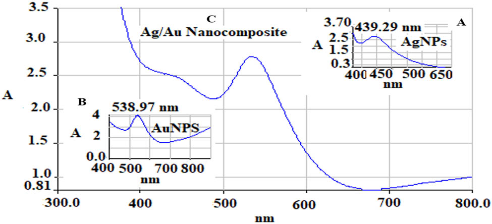 Figure 2
UV-Vis spectra of the composite nanoparticles using the argel extract.
