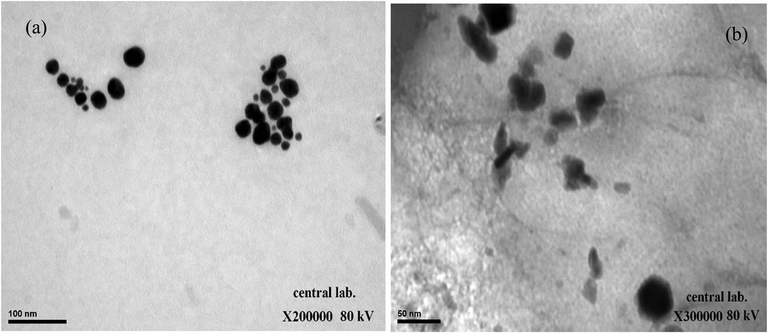 Figure 4
TEM micrographs of (a) the nanocomposite and (b) zinc oxide nanoparticles synthesized using the extract of HR.
