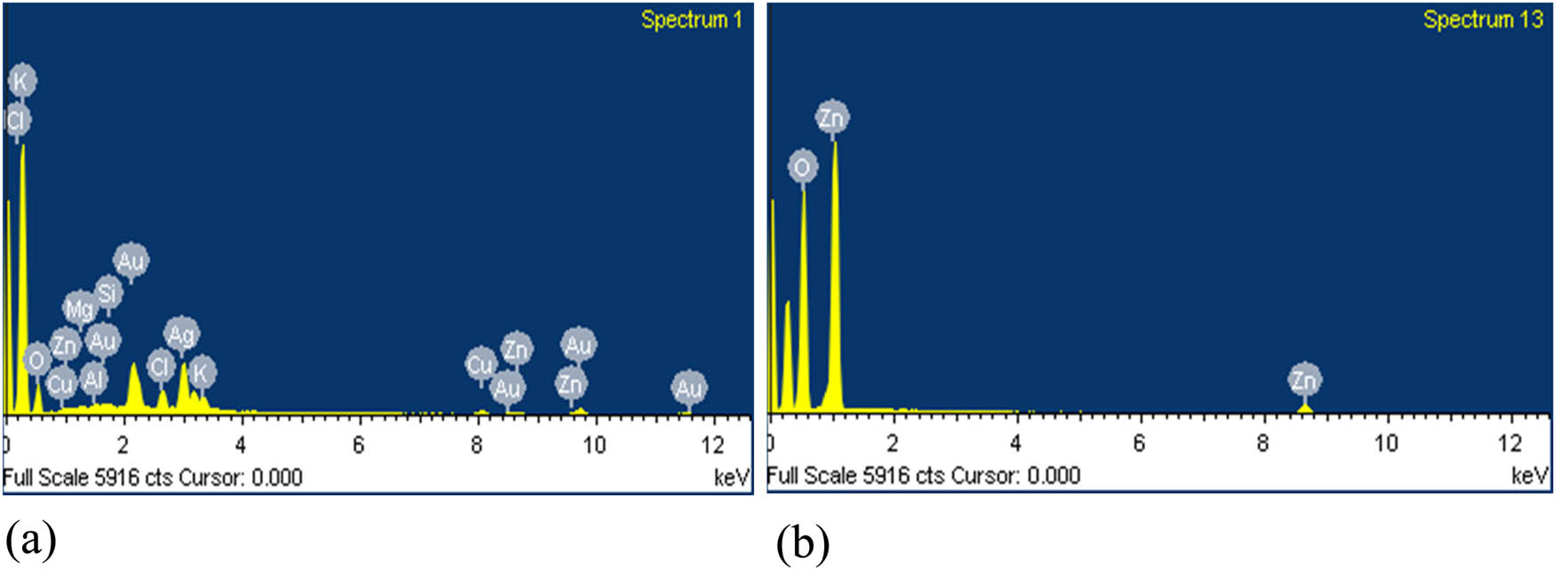Figure 5
EDS spectra of (a) Ag/AuNPs and (b) ZnONPs synthesized using the So-argel leaf extract.