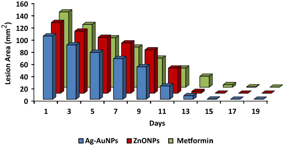 Figure 7
Wound closure rate (lesion area in mm2) in animals after lesioning and treatment with metformin (MT), gold–silver nanocomposite (CNPs), and zinc oxide nanoparticles (ZnONPs).