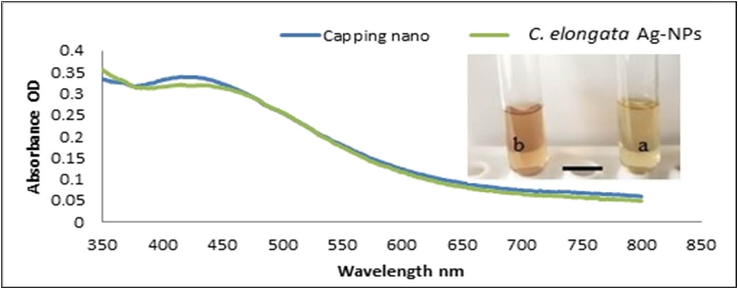 Figure 1 
                     UV-Vis spectrum of AgNPs biogenic by C. elongata, AgNPs coated by acetic acids and AgNPs. Inset shows the color of (a) AgNPs capping by acetic acid and (b) AgNPs biogenic by C. elongata.
                  