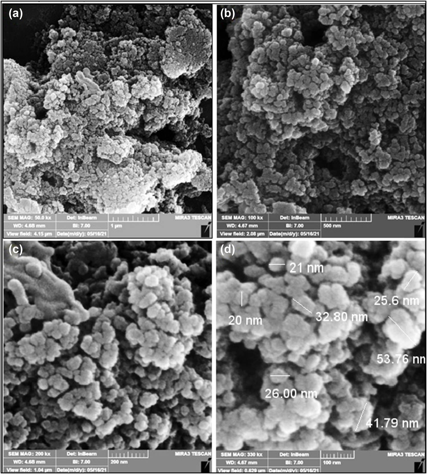 Figure 2 
                     FESEM micrographs of IONPs at different magnification; scales: (a) 1 µm, (b) 500 nm, (c) 200 nm, and (d) 100 nm.
                  