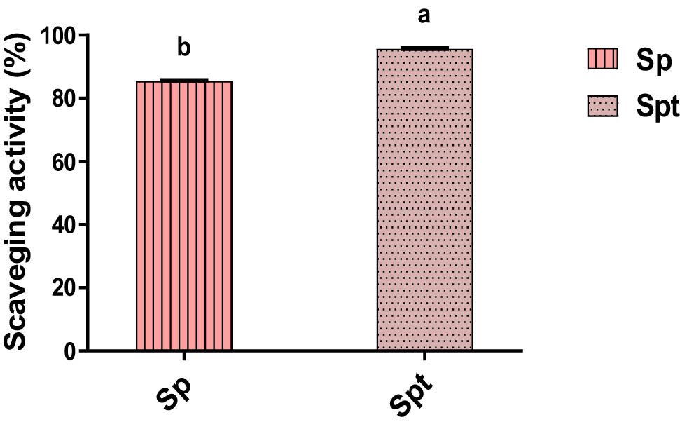 Figure 3 
                  Antioxidant activity in methanolic extracts of SP and SPt for 21 days of culture based on DPPH free radical-scavenging activity (%). Different letters mean significant change between groups (p < 0.05).
               