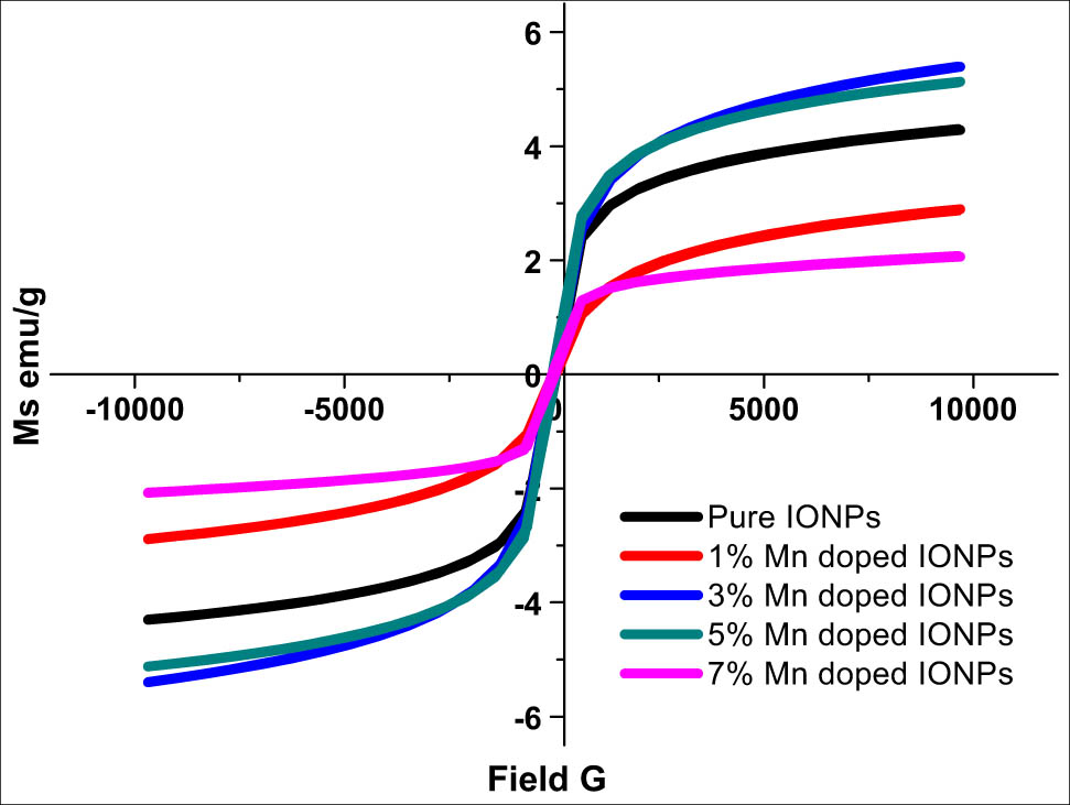 Figure 4 
                  VSM analysis of undoped and Mn-doped IONPs.
               