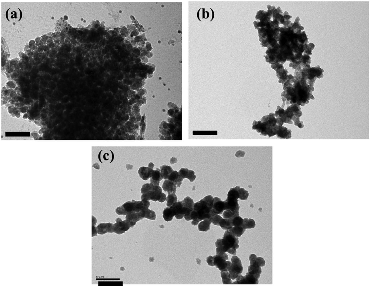 Figure 4 
               The TEM images of ZnSe:Mn (5%) capped with Starch (a), PEG (b), and MPA (c). Scale bar: 100 nm.
            