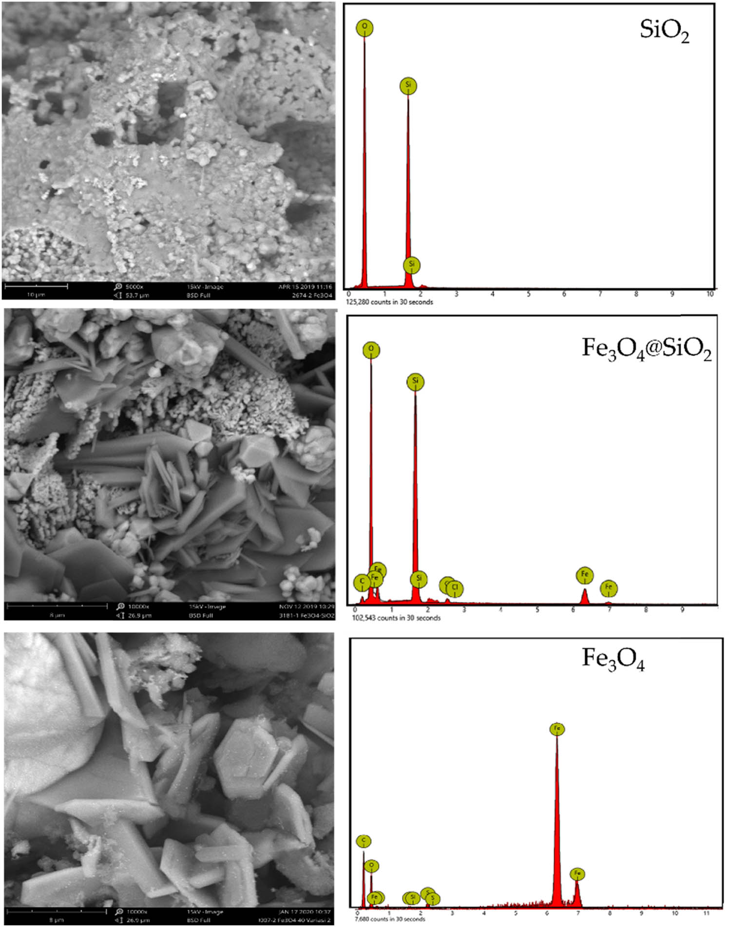 Figure 2 
                  SEM images of Fe3O4@SiO2, Fe3O4, and SiO2.
               