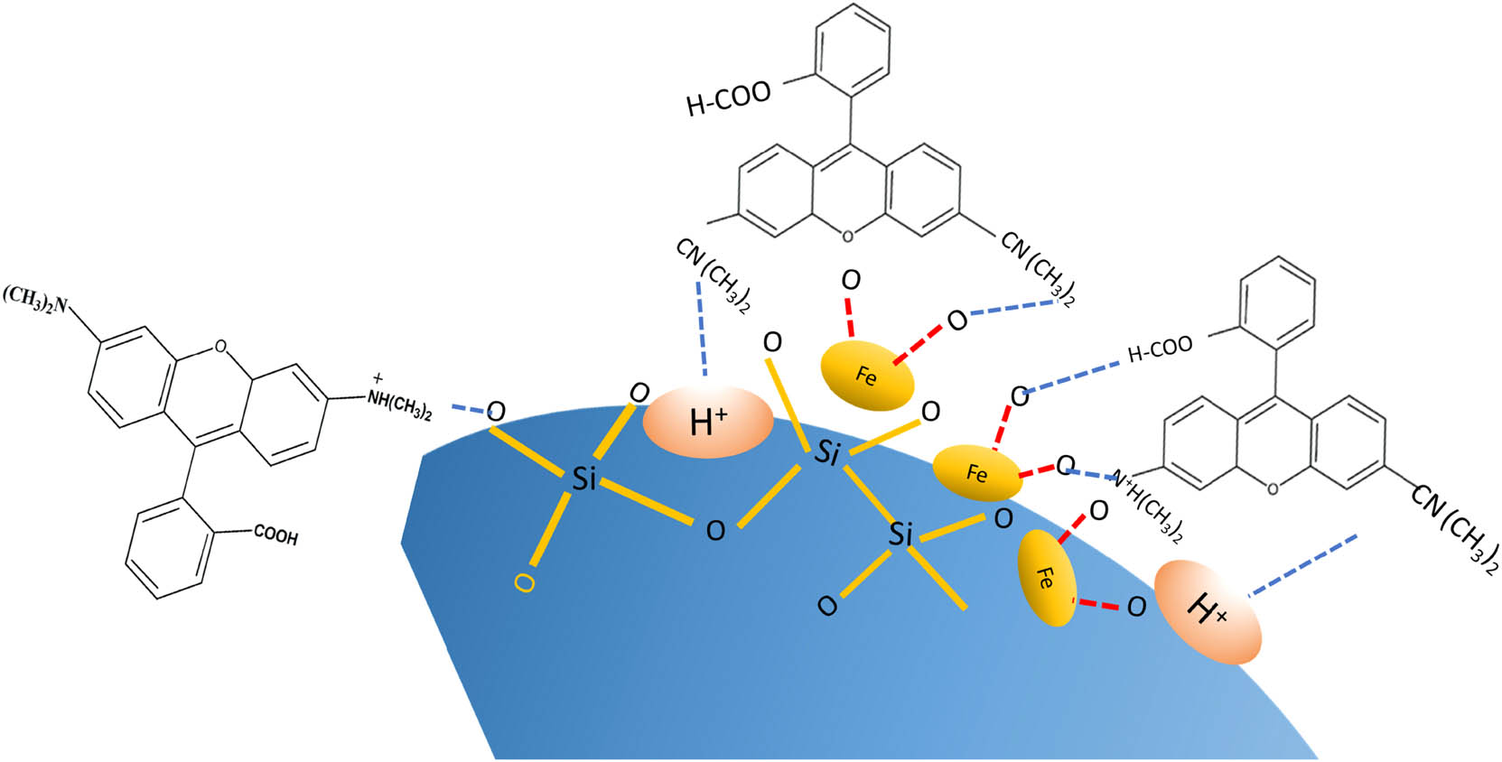 Figure 9 
                  Schematic representation of adsorption mechanism of RhB using Fe3O4@SiO2.
               