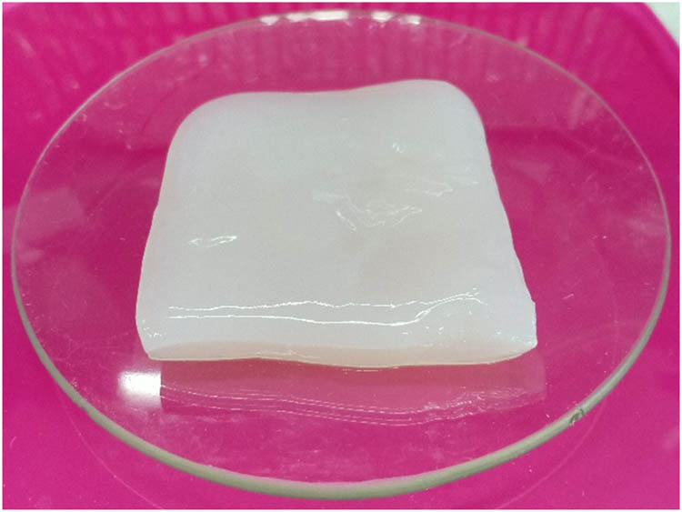 Figure 1 
                  Bacterial cellulose nata de coco fermented for 4 days.
               