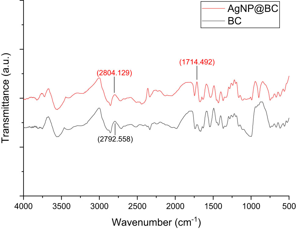 Figure 3 
                  FTIR spectra of pristine BC and sample AgNP10@BC.
               