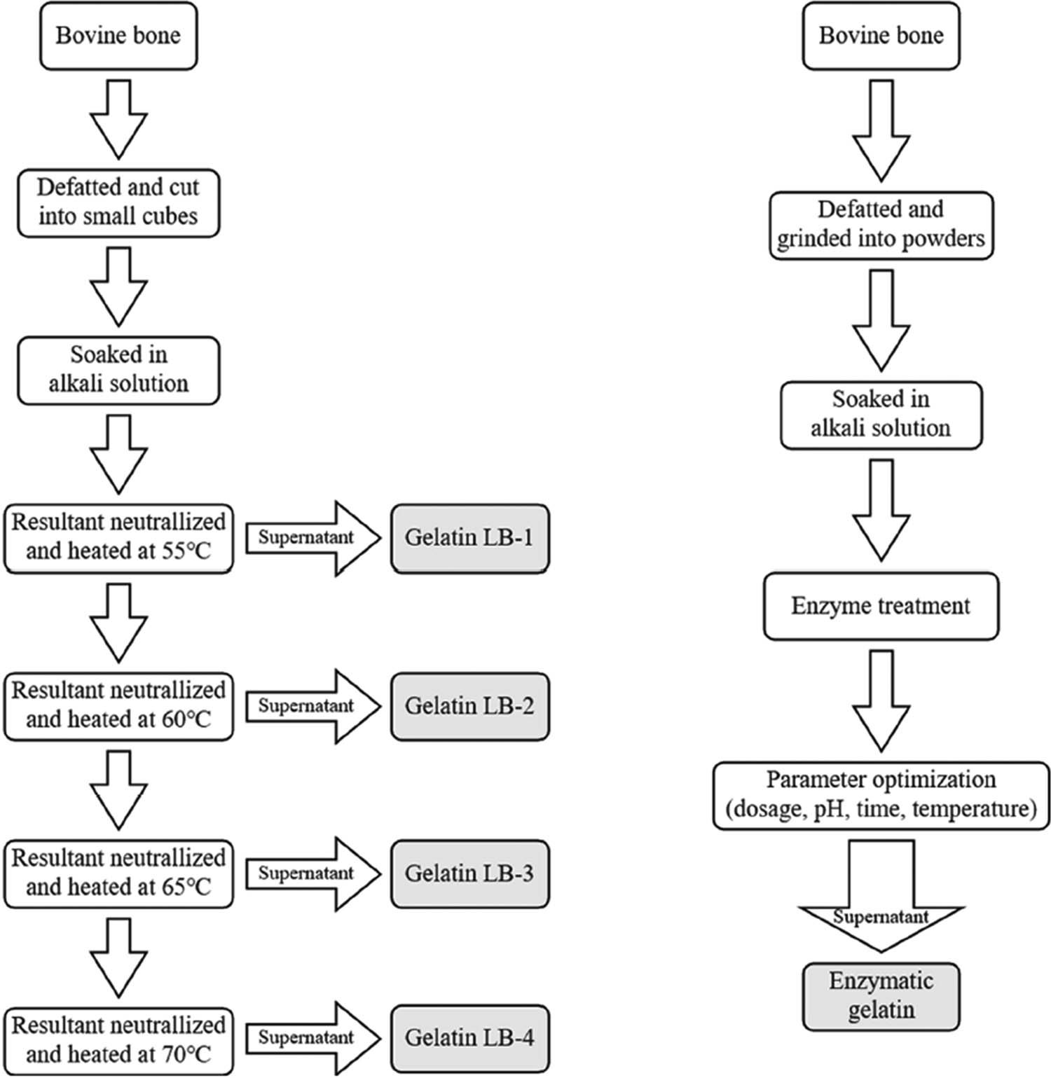 Figure 1
Schematic diagram of extractions of alkaline gelatin and enzymatic gelatin.