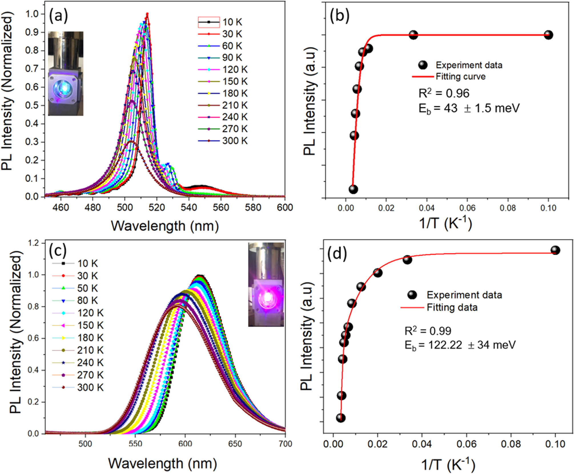 Figure 4 
               Temperature-dependent PL spectra and PL intensity versus inverse temperature and Arrhenius fit of CsPbBr3 NCs (a and b) and CsPb1–x
                  Mn
                     x
                  Br3–2x
                  Cl2x
                   (x = 0–0.5) (c and d).
            