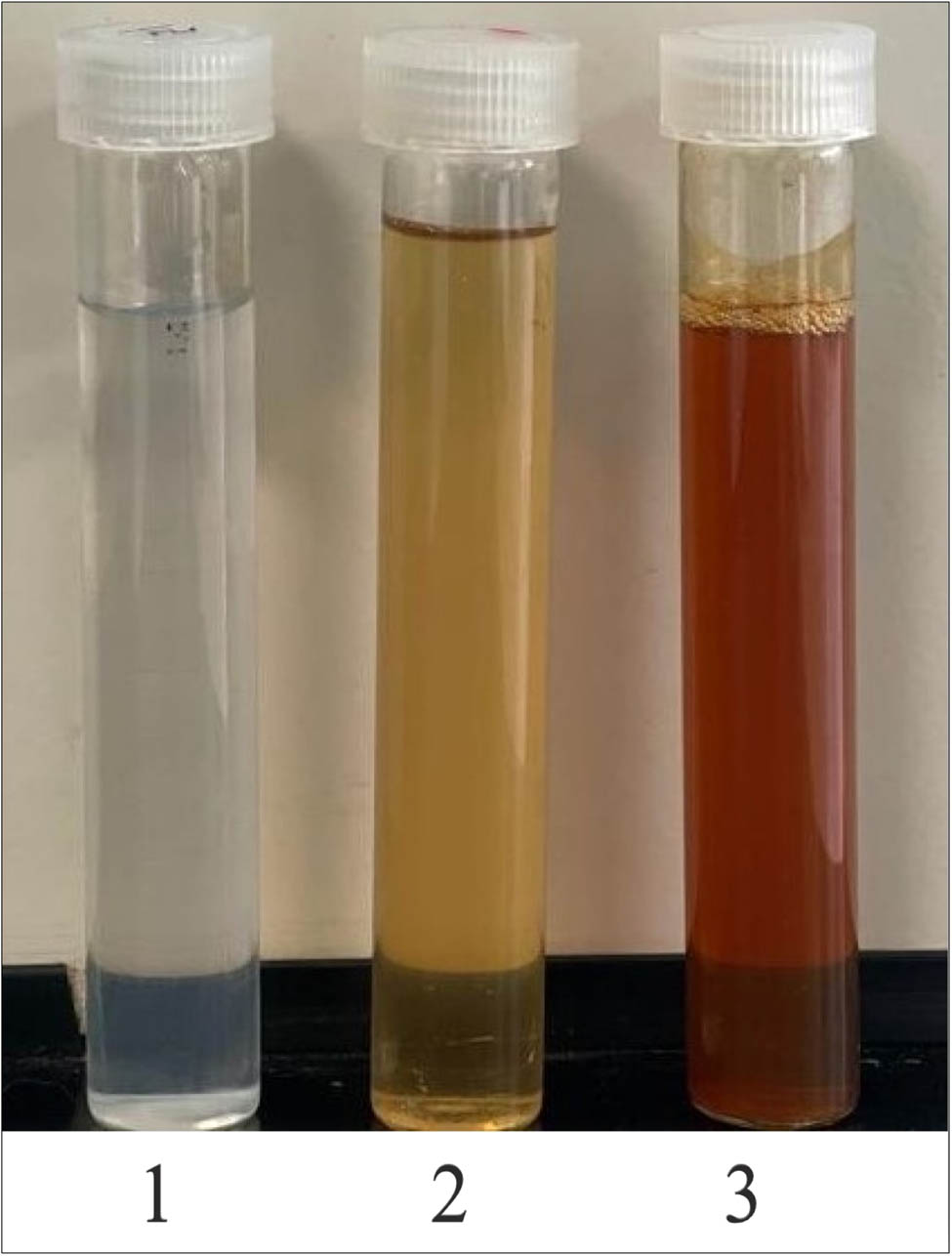 Figure 1 
                  The formation of Si-AgNPs is indicated by color change. (1) AgNO3: silver nitrate solution, (2) Si-extract: aqueous seed extract of Sisymbrium irio, and (3) Si-AgNPs: a dark brown colloidal mixture of green synthesized silver nanoparticles.
               