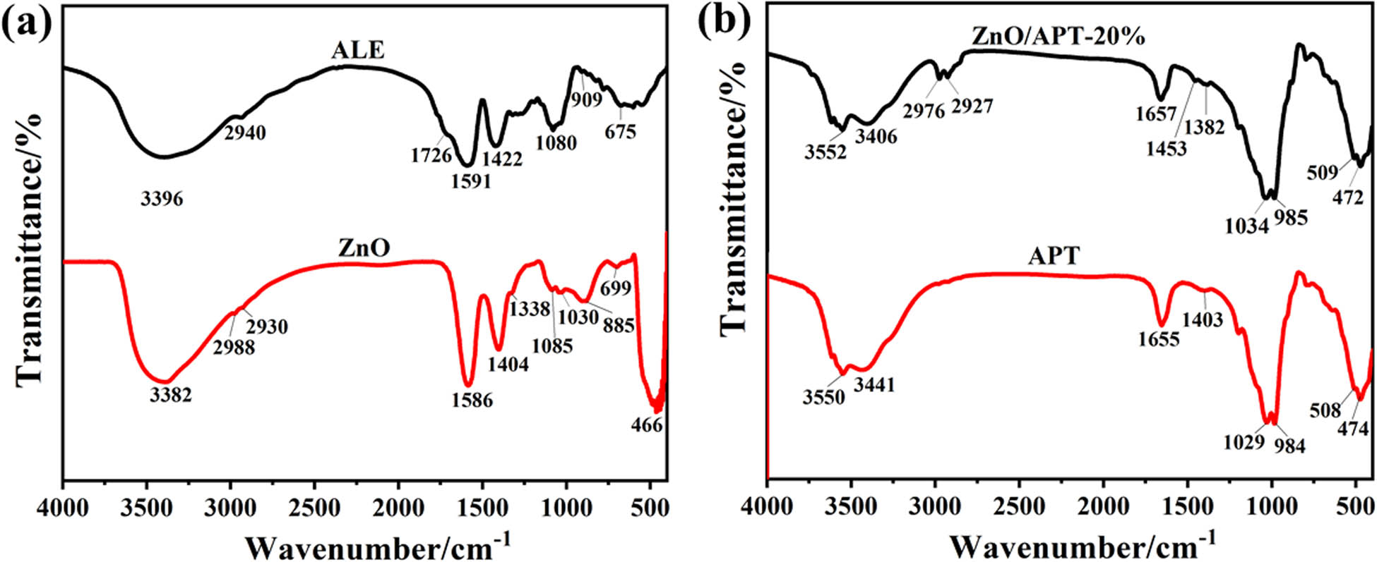 Figure 5 
                  FTIR patterns of (a) ALE and pure ZnO and (b) APT and ZnO/APT-20% nanocomposite.
               