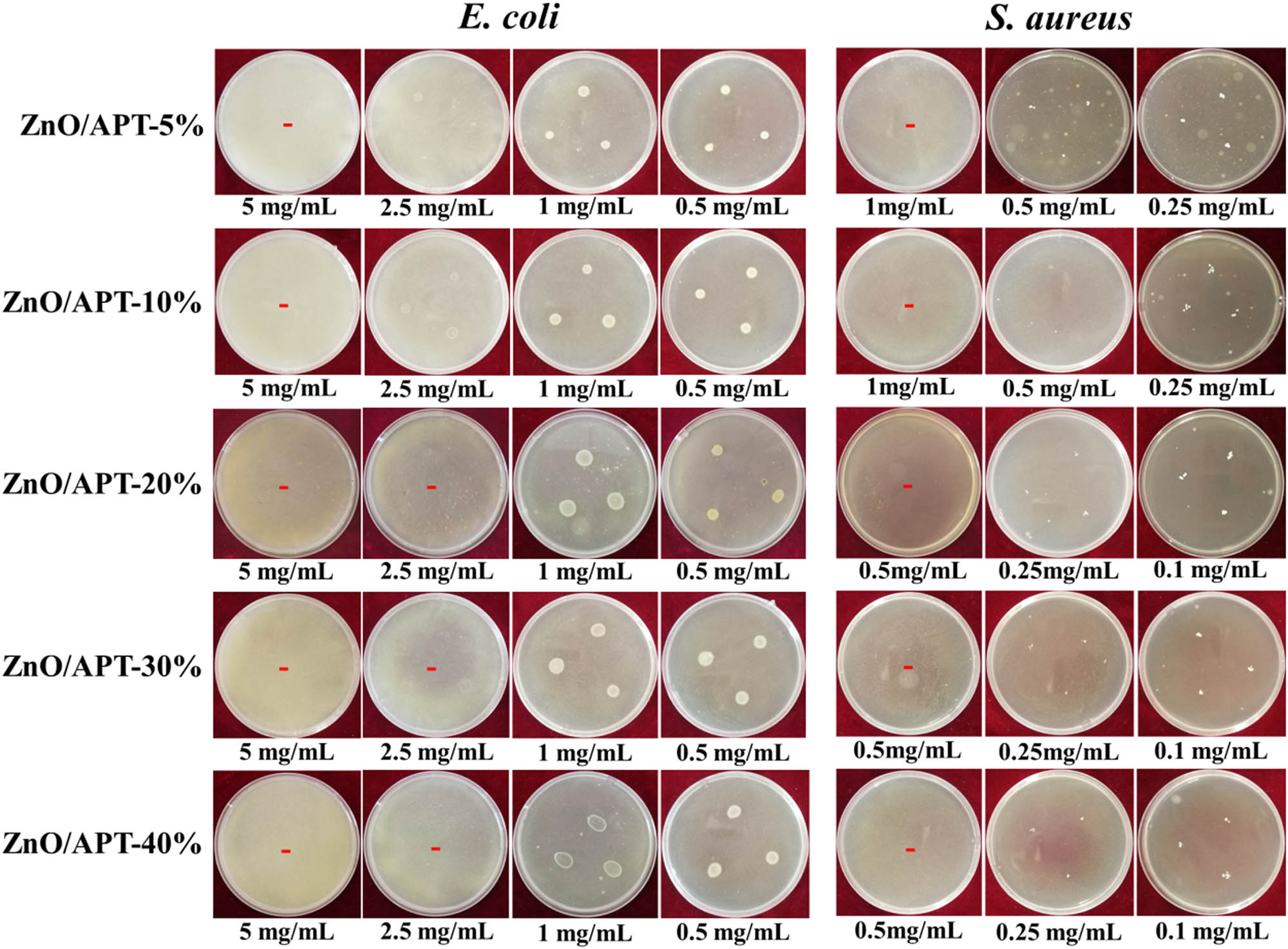 Figure A3 
                  MIC values of ZnO/APT nanocomposites against E. coli and S. aureus.
               