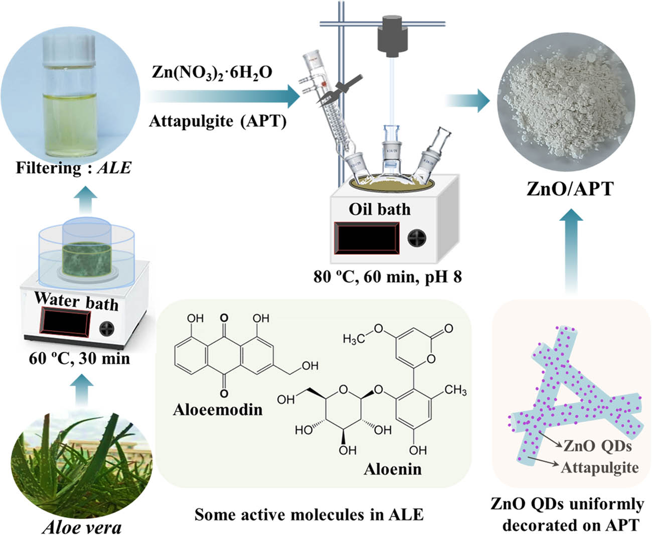 Scheme 1 
                  Schematic illustration of the preparation process for ZnO/APT nanocomposites.
               
