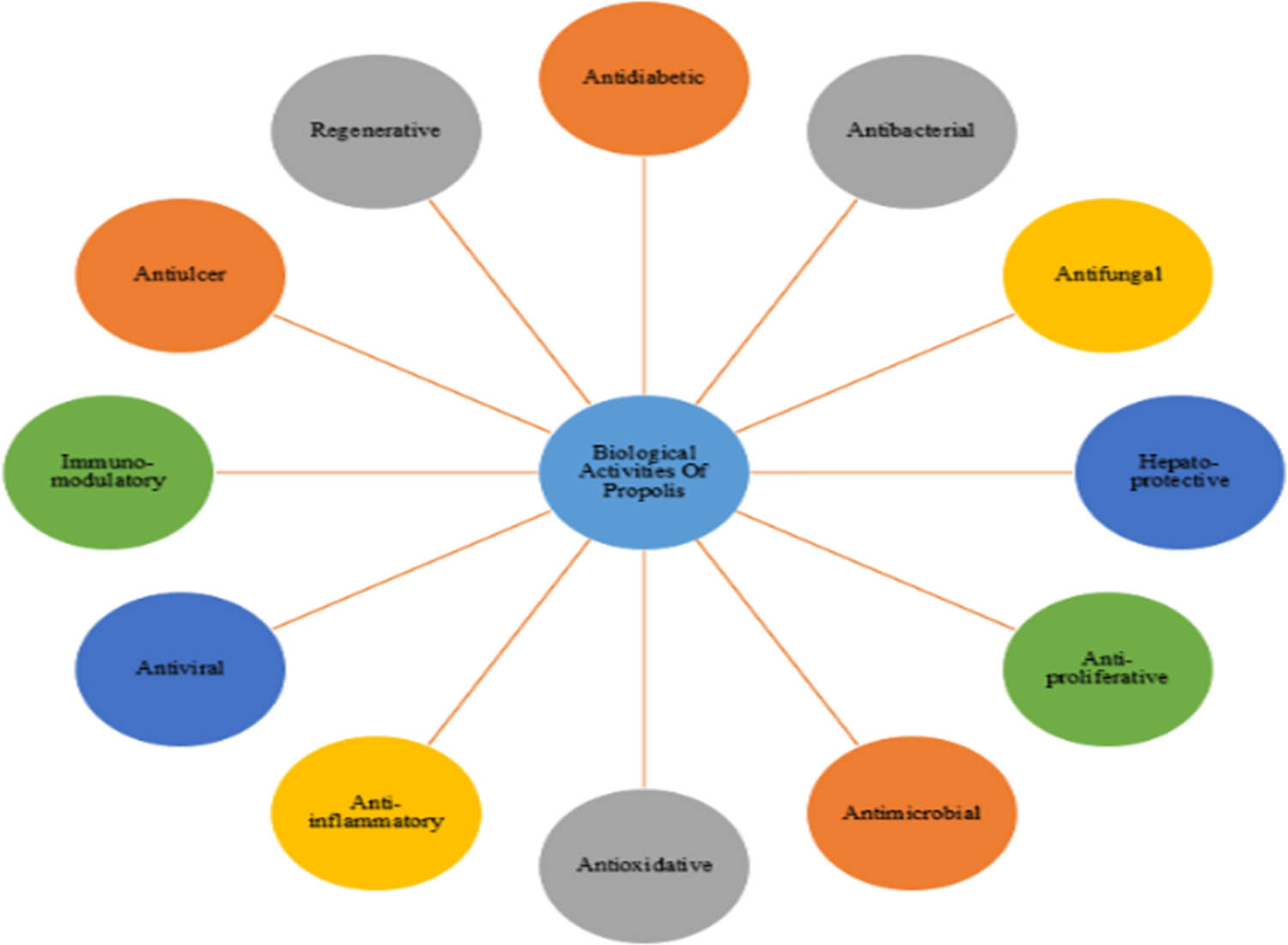 Figure 1 
               Biological properties of propolis.
            