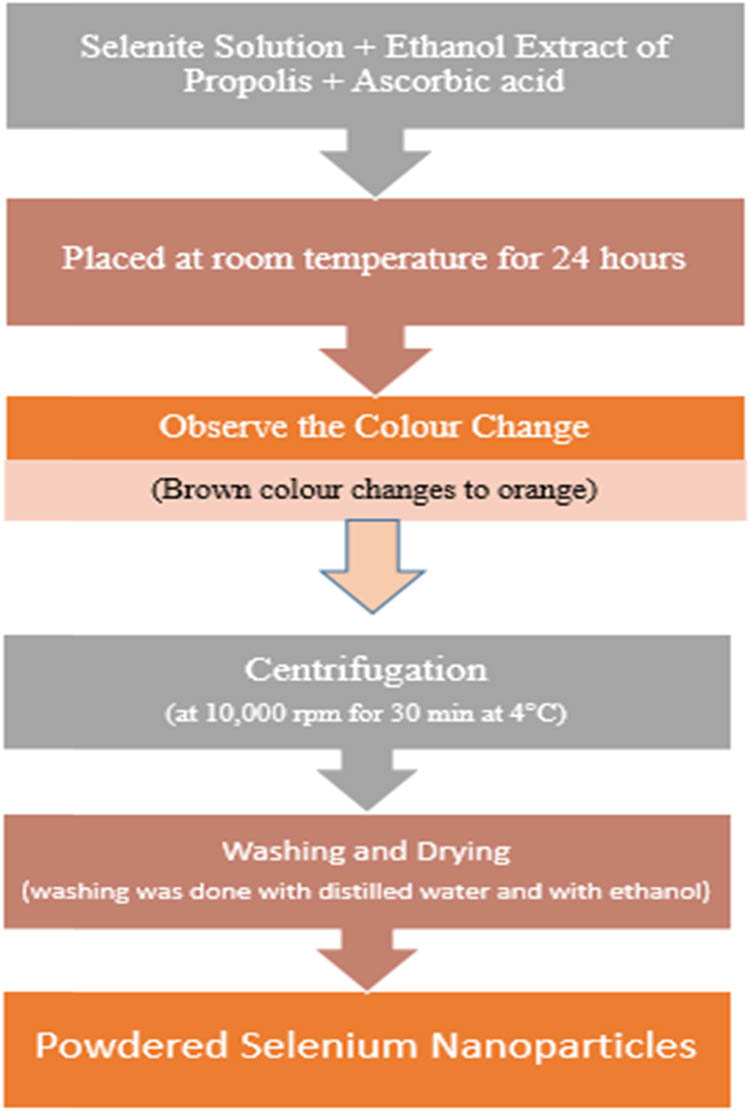 Figure 3 
                     Schematic representation for the synthesis of selenium nanoparticles from ethanolic extract of propolis.
                  