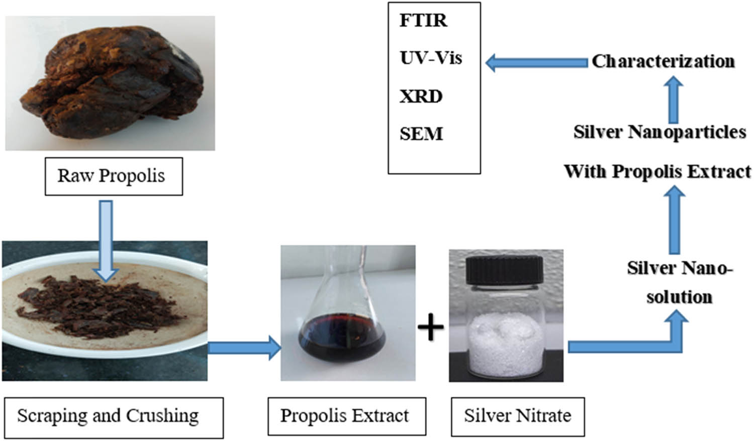 Figure 4 
                  Schematic procedure for the biosynthesis of silver nanoparticles with propolis.
               