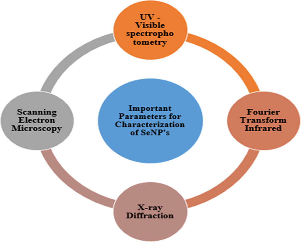 Figure 5 
                  Characterization of biosynthesized nanoparticles.
               