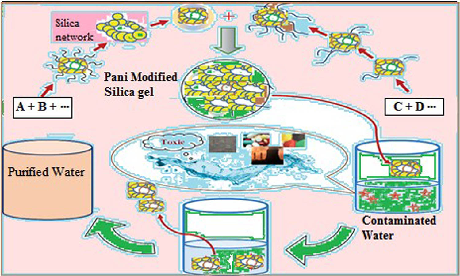 Figure 3
Overview of Pani@SG materials focuses on their adsorption strategies for water decontamination.