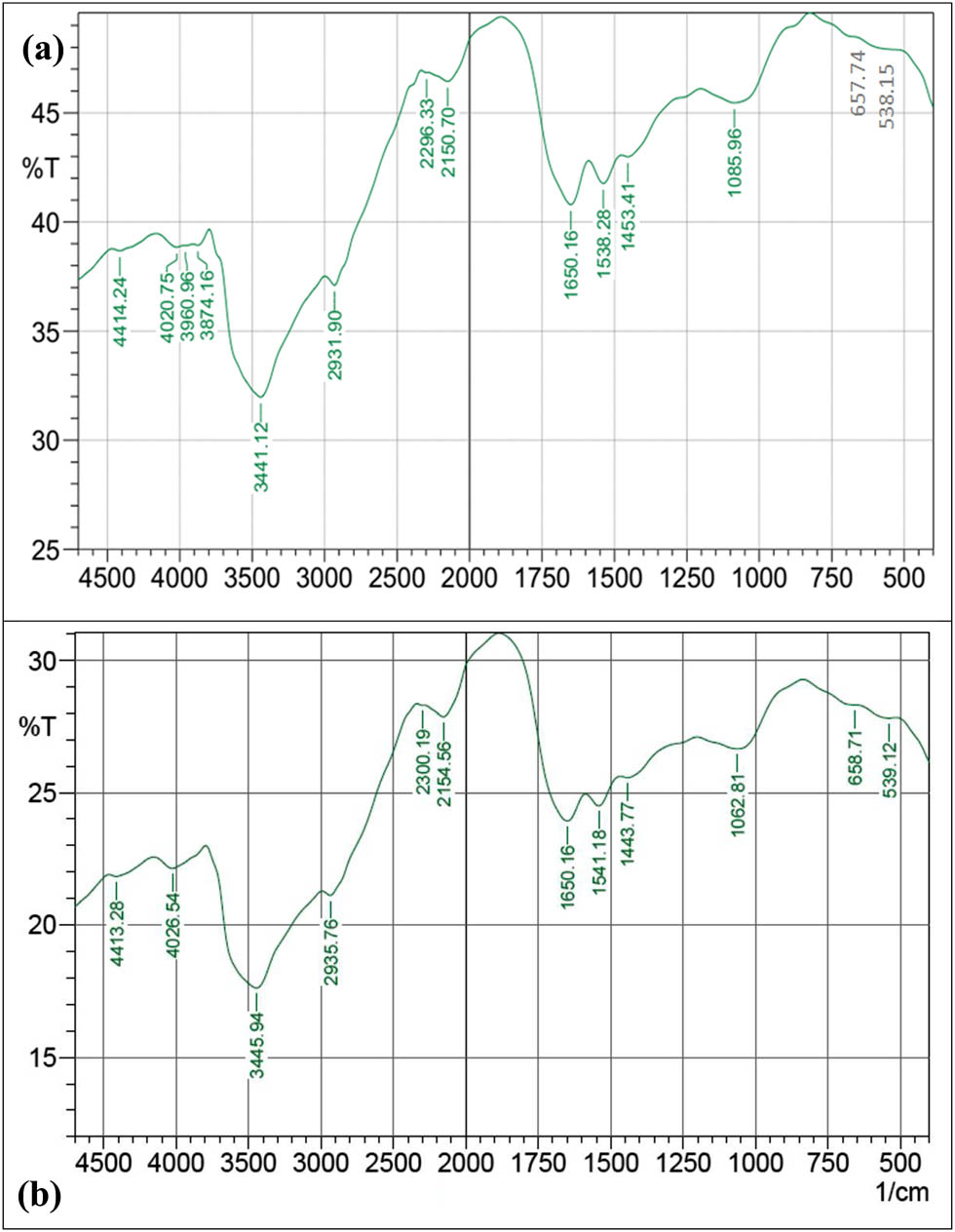 Figure 5 
                  FTIR spectra of Gelidium amansii biomass: (a) before Ni2+ ion biosorption and (b) after Ni2+ ion biosorption from aqueous solution.
               