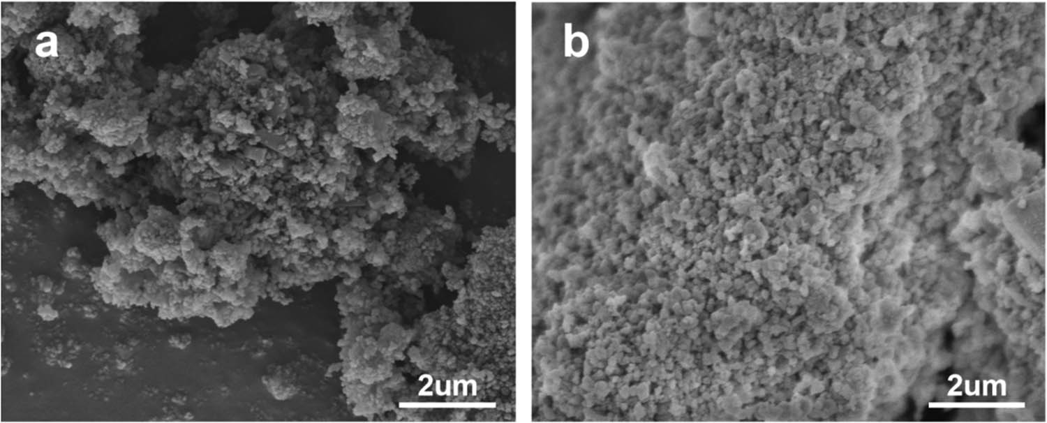 Figure 12 
                  SEM images of HCA/Hβ catalysts before and after recovery: (a) fresh catalyst, (b) recovered catalyst (550°C calcination for 3 h) 1 cycle.
               
