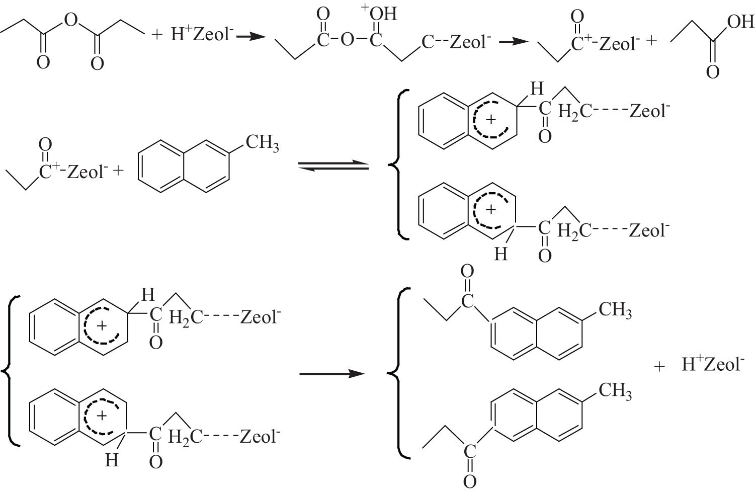 Figure 13 
                     Mechanism of 2-MN propionyl catalyzed by molecular sieve.
                  