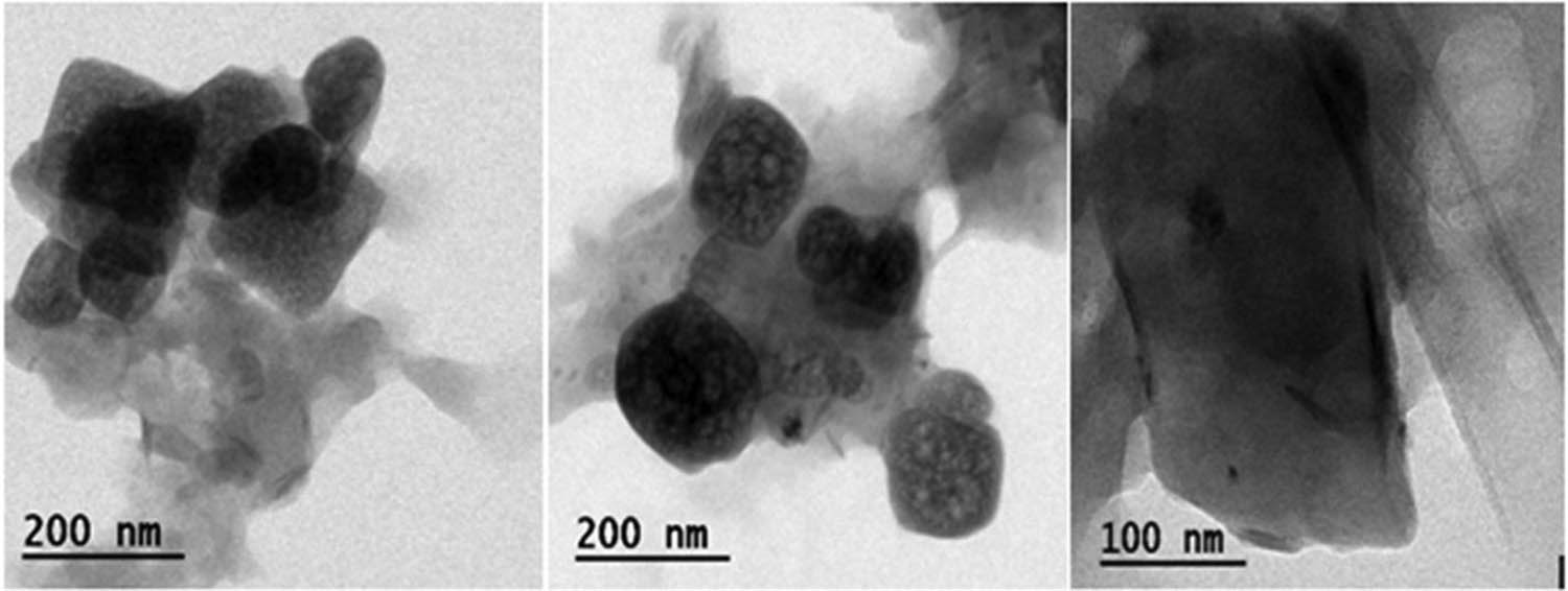 Figure 5 
                     High-resolution transmission electron microscope of synthesized AS-ZnONPs.
                  