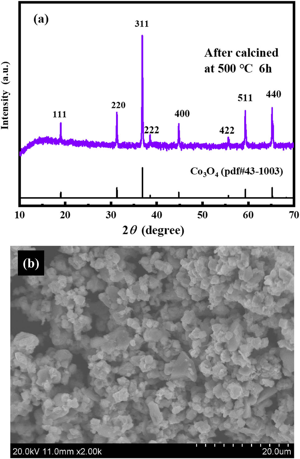 Figure 5 
                  Characterization of calcined precipitate samples from leaching solution: (a) XRD pattern of the sample and (b) SEM image of the sample.
               
