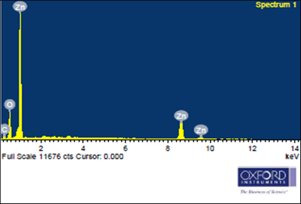 Figure 6 
                  Elemental composition of phyto-fabricated ZnO NPs from S. acuta.
               