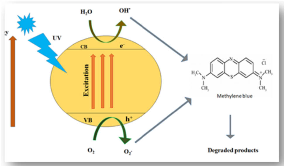 Figure 9 
               Methylene blue degradation reaction mechanism [58]. Copyright © 2021; American Chemical Society.
            
