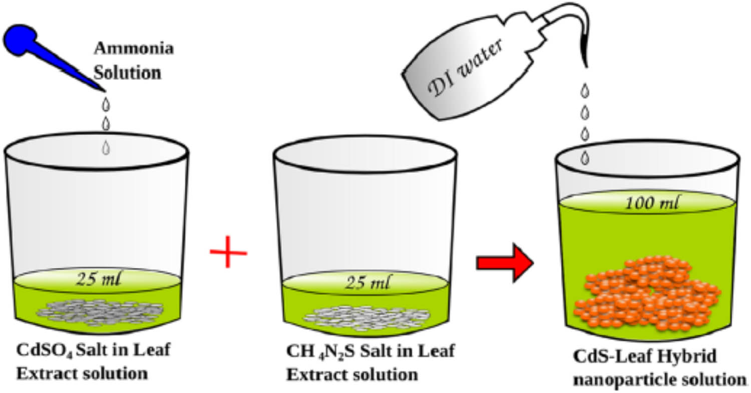 Figure 10 
               An example of the cards-GS hybrid nanoparticle production [59]. Copyright © 2021; American Chemical Society.
            