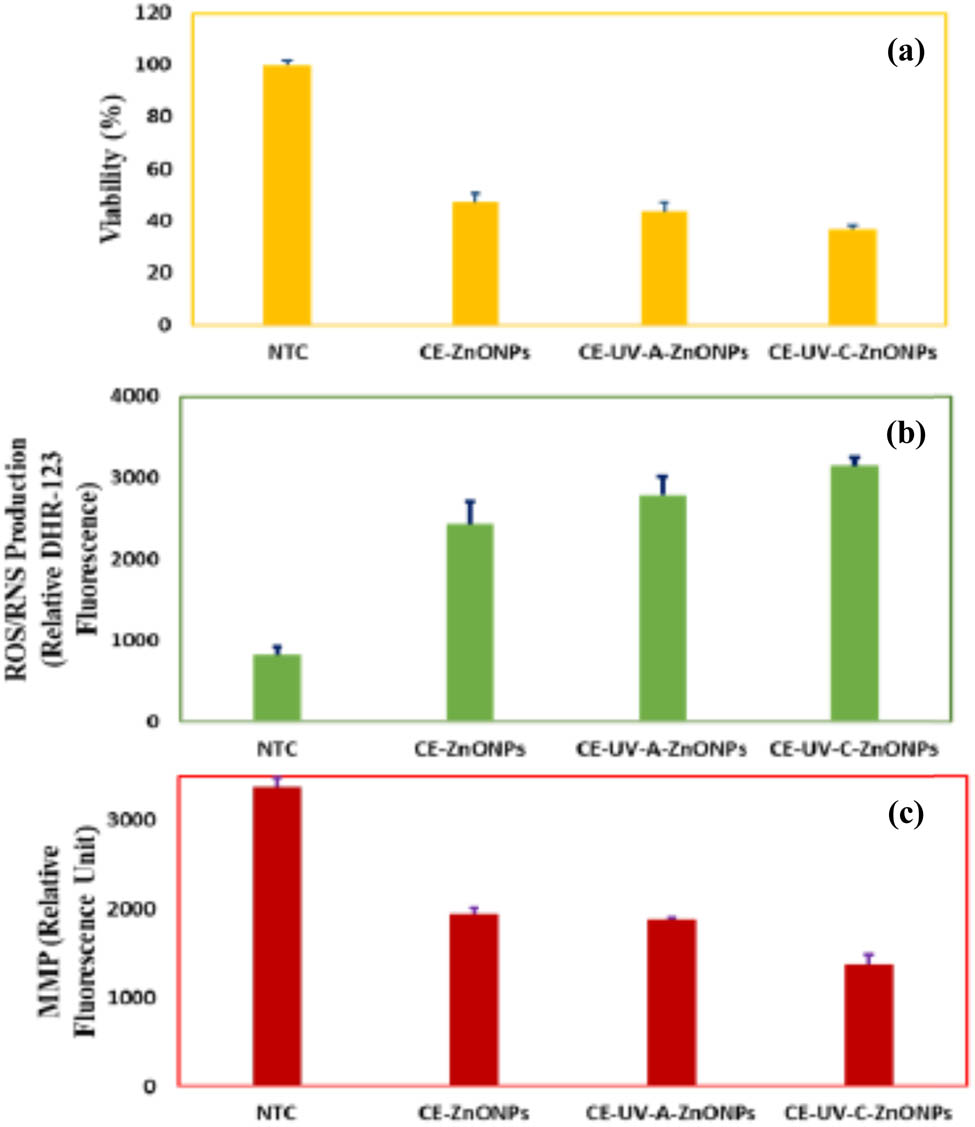 Figure 12 
               ZnONPs have anticancer properties: (a) HepG2 cell survival measurement, (b) ROS/RNS production measurement, and (c) HepG2 mitochondrial membrane potential measurement in response to green-synthesized-ZnONP therapy [5]. Copyright © 2021; MDPI.
            