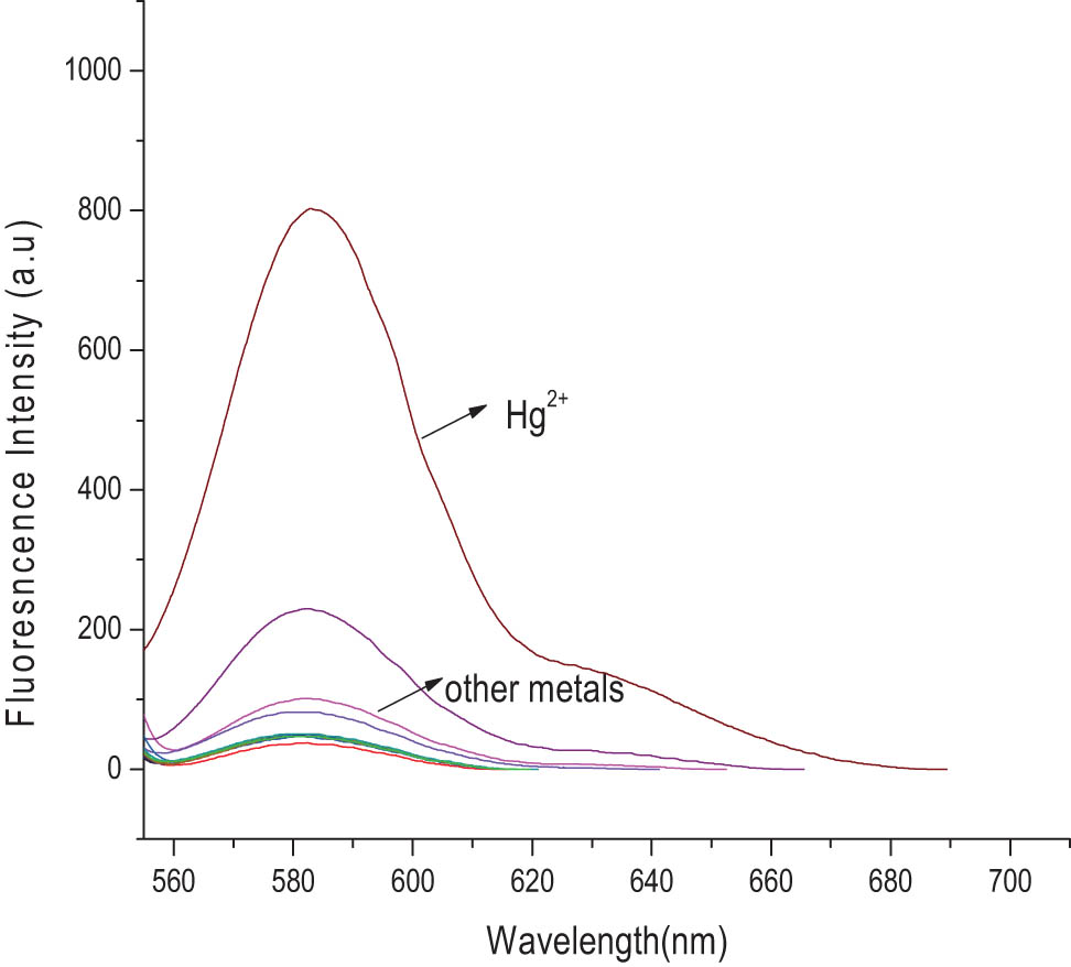 Figure 4 
                  Fluorescence spectrum of different metal ions and rhodamine class B derivatives response (CH3CH2OH/H2O [v/v, 1/2], λ
                     ex = 530 nm, probe concentration 10 × 10−5 mol·L−1, metal ions concentration 10 × 10−5 mol·L−1).
               