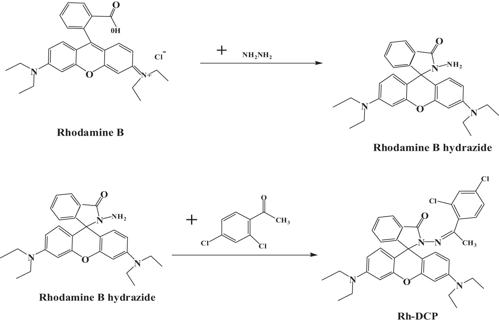 Figure 5
Synthesis of rhodamine B derivative Rh-DCP.