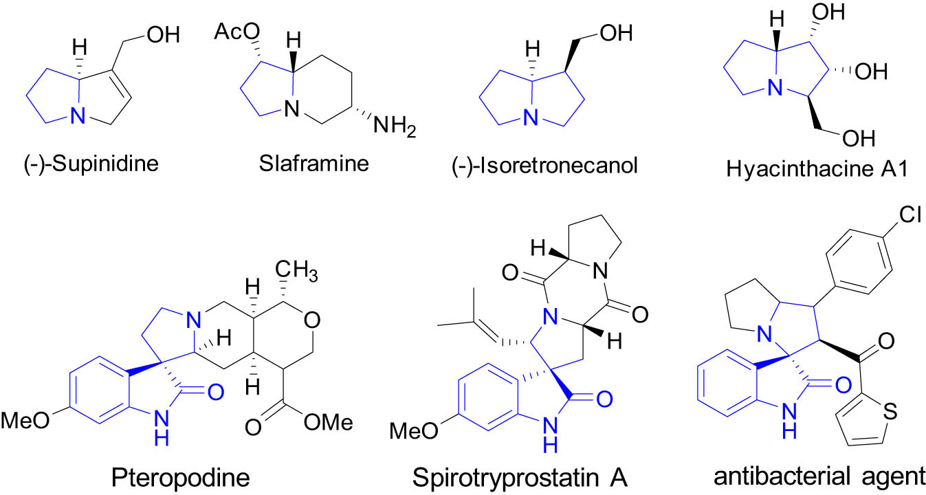 Figure 1 
               Bioactive pyrrolidine, pyrrolizidine, and spirooxindole-pyrrolidine compounds.
            