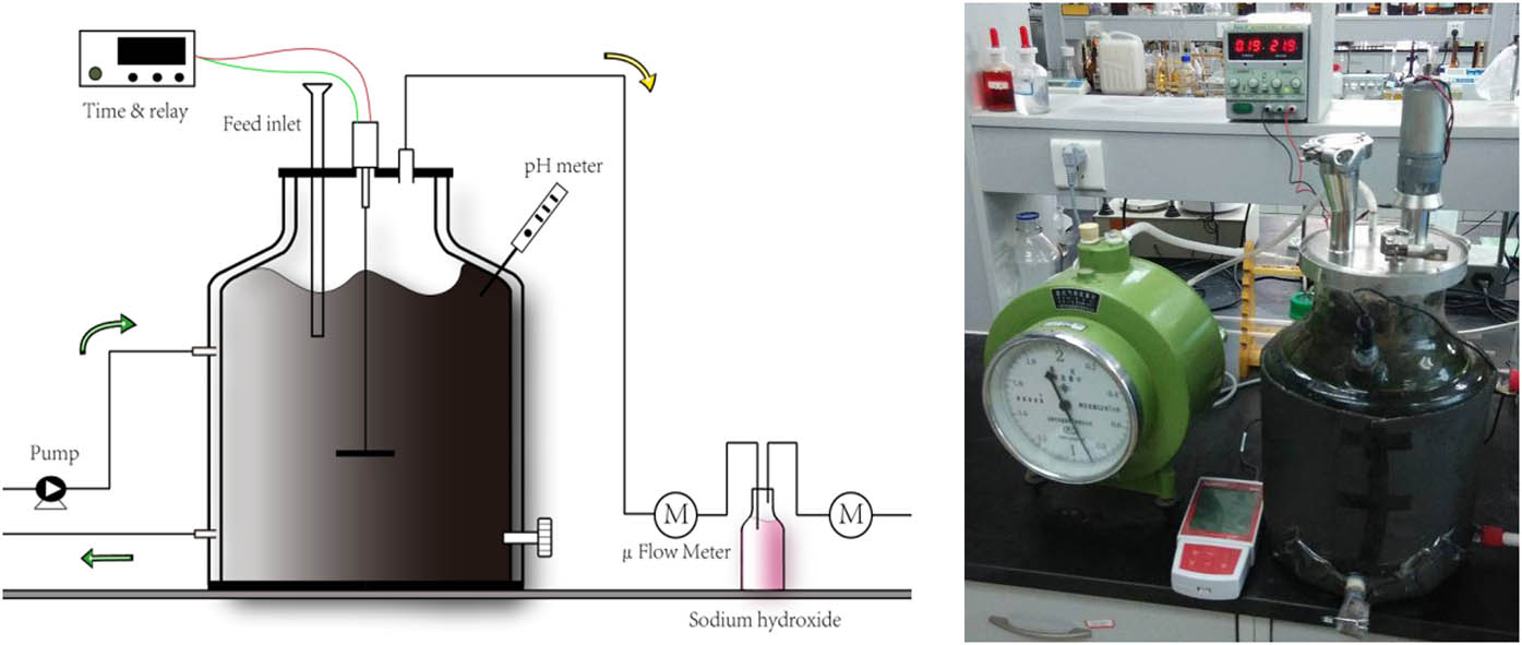 Figure 1
Schematic and material object diagram of the lab-scale FPW and WAS co-digestion processes.