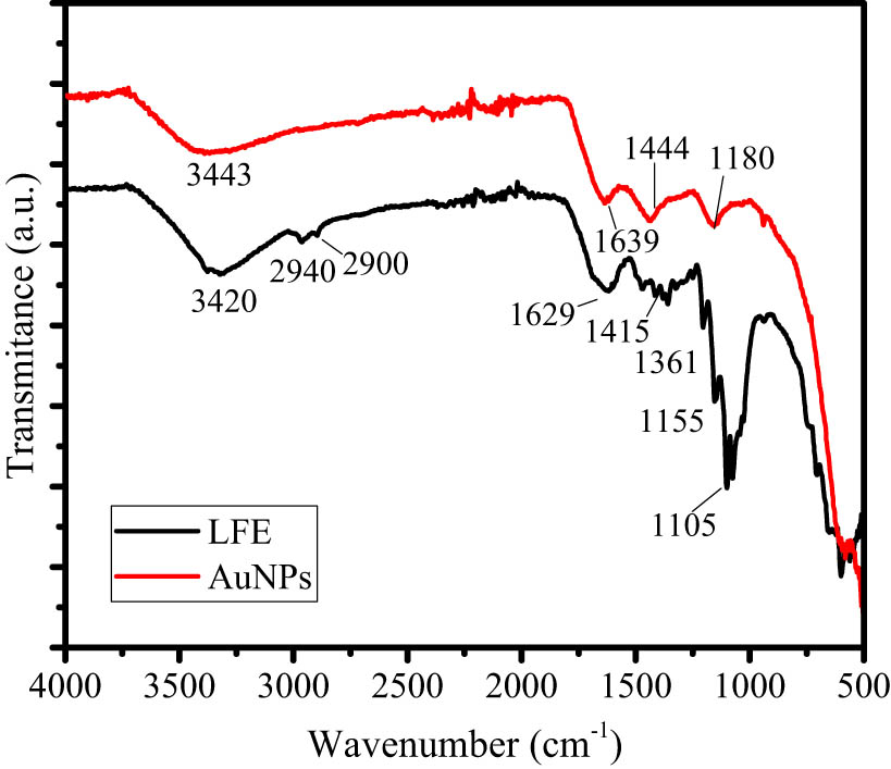 Figure 2 
                  Comparison of FTIR spectra of LFE and AuNPs.
               