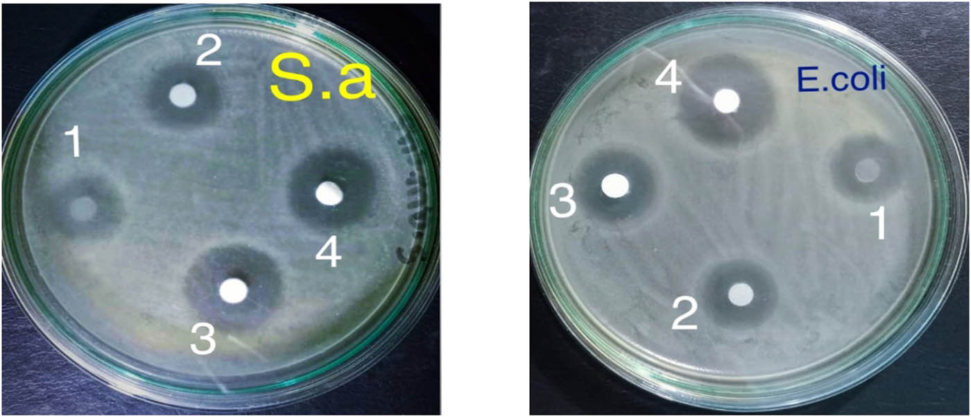 Figure 9
The antimicrobial activity of TiO2 nanoparticles at different irradiation doses against S. aureus (left) and E. coli (right).