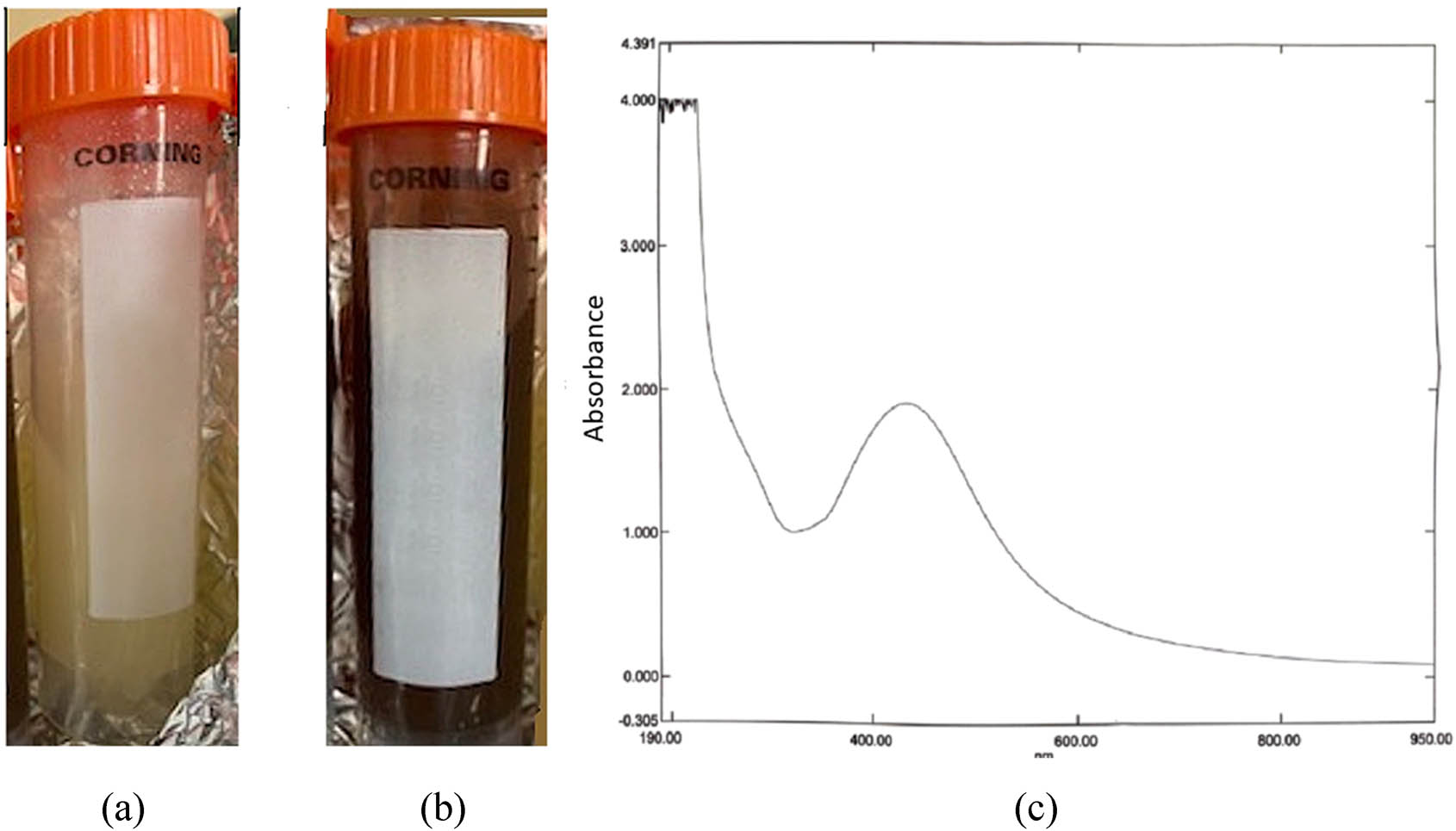 Figure 1 
                  The green synthesis of AgNPs: (a) the aqueous plant extract. (b) Mixture of AgNO3 with aqueous extraction of CP. (c) Characterization of AgNPs using the UV-Vis spectroscopy.
               