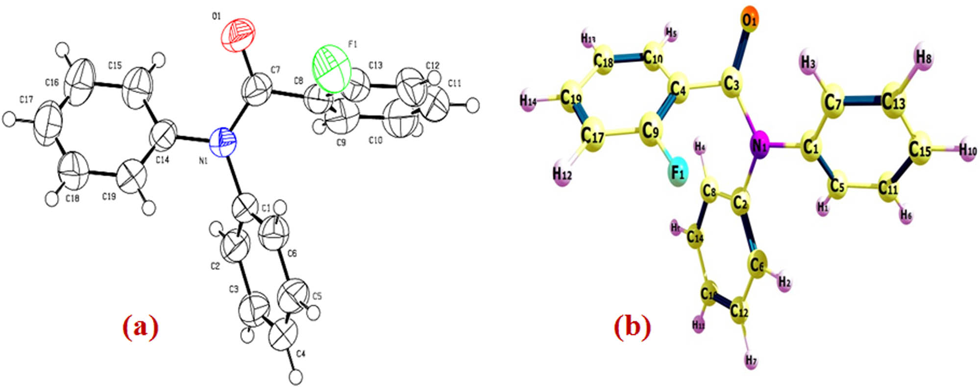 Figure 3 
                  (a) ORTEP view of the molecule with displacement ellipsoids drawn at 40%. (b) The theoretical optimized geometric structure of 2FNNDPBA B3LYP/6-311++G(d,p) level.
               